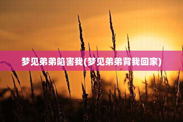梦见弟弟陷害我(梦见弟弟背我回家)