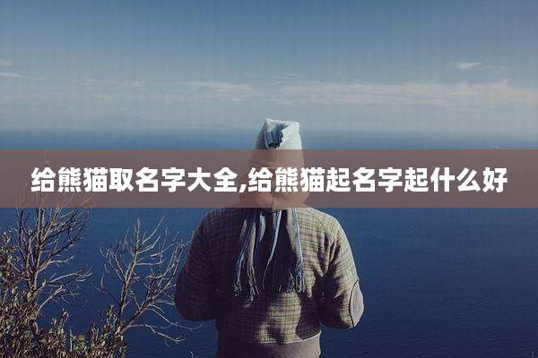 给熊猫取名字大全,给熊猫起名字起什么好