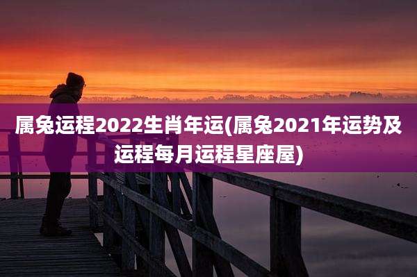 属兔运程2022生肖年运(属兔2021年运势及运程每月运程星座屋)