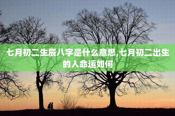 七月初二生辰八字是什么意思,七月初二出生的人命运如何