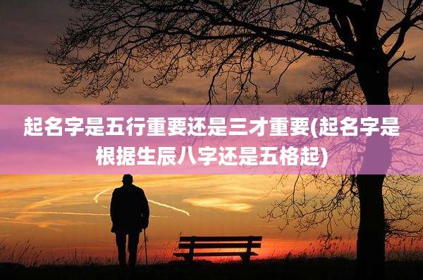 起名字是五行重要还是三才重要(起名字是根据生辰八字还是五格起)