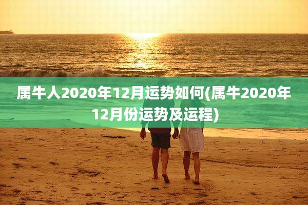 属牛人2020年12月运势如何(属牛2020年12月份运势及运程)
