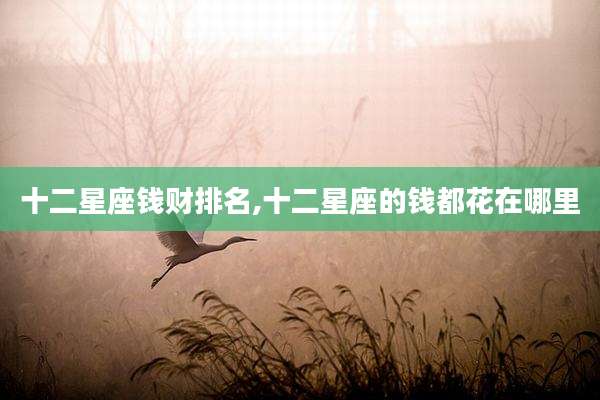 十二星座钱财排名,十二星座的钱都花在哪里
