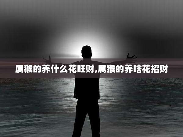 属猴的养什么花旺财,属猴的养啥花招财