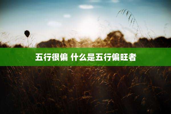 五行很偏 什么是五行偏旺者