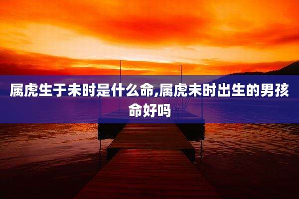 属虎生于未时是什么命,属虎未时出生的男孩命好吗