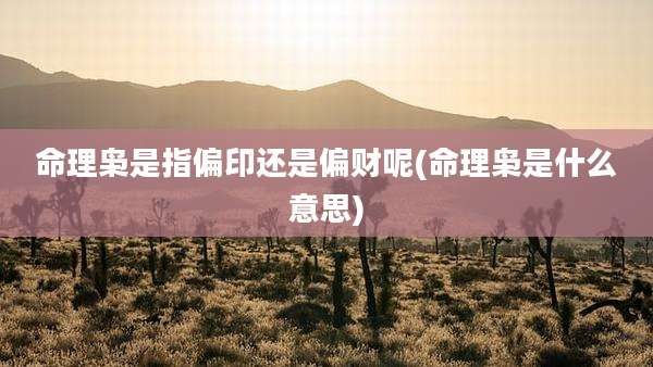 命理枭是指偏印还是偏财呢(命理枭是什么意思)