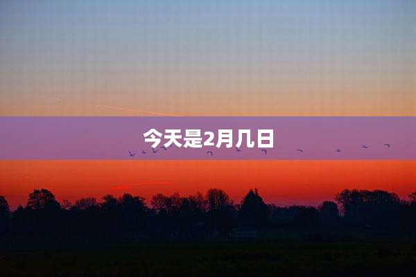 今天是2月几日
