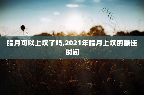 腊月可以上坟了吗,2021年腊月上坟的最佳时间