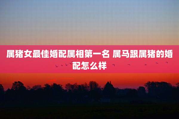 属猪女最佳婚配属相第一名 属马跟属猪的婚配怎么样