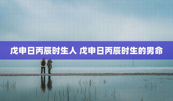 戊申日丙辰时生人 戊申日丙辰时生的男命