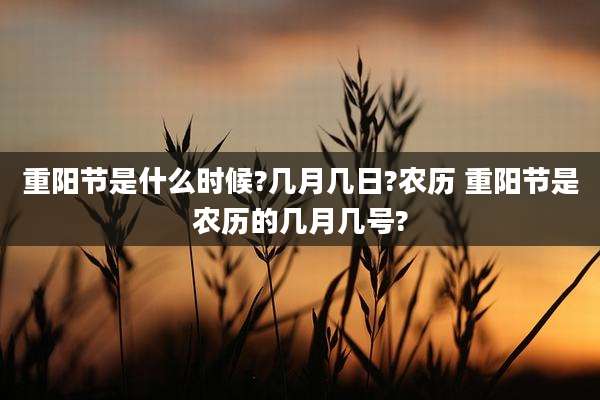 重阳节是什么时候?几月几日?农历 重阳节是农历的几月几号?