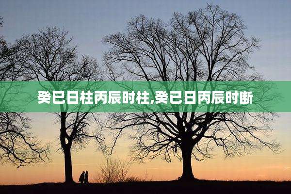 癸巳日柱丙辰时柱,癸已日丙辰时断