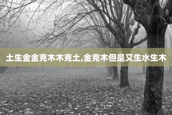 土生金金克木木克土,金克木但是又生水生木