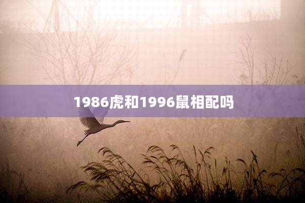 1986虎和1996鼠相配吗
