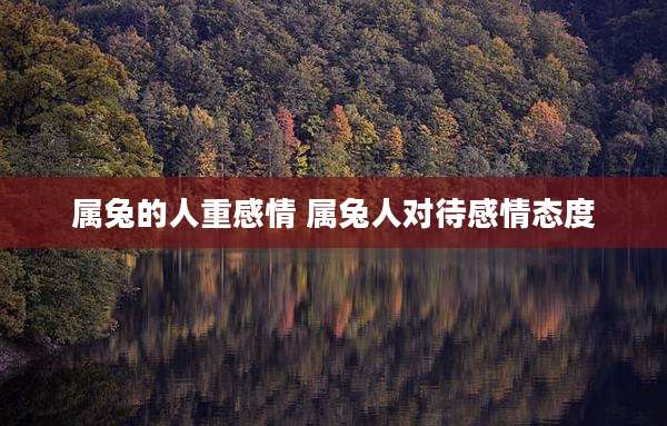 属兔的人重感情 属兔人对待感情态度