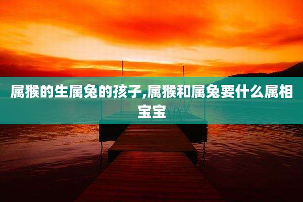 属猴的生属兔的孩子,属猴和属兔要什么属相宝宝