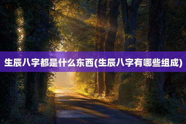 生辰八字都是什么东西(生辰八字有哪些组成)