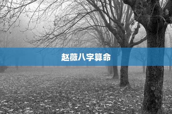 赵薇八字算命