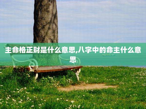 主命格正财是什么意思,八字中的命主什么意思