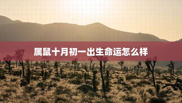 属鼠十月初一出生命运怎么样
