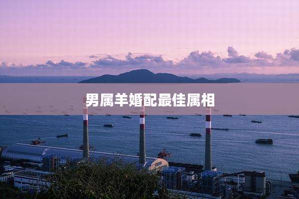 男属羊婚配最佳属相