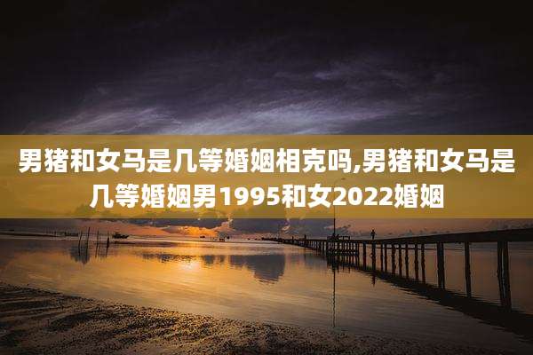 男猪和女马是几等婚姻相克吗,男猪和女马是几等婚姻男1995和女2022婚姻