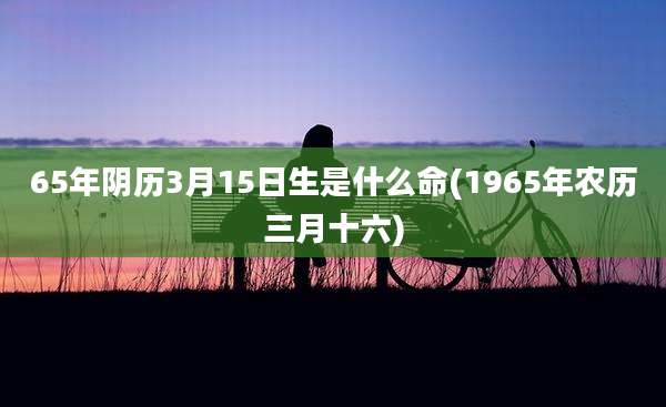 65年阴历3月15日生是什么命(1965年农历三月十六)