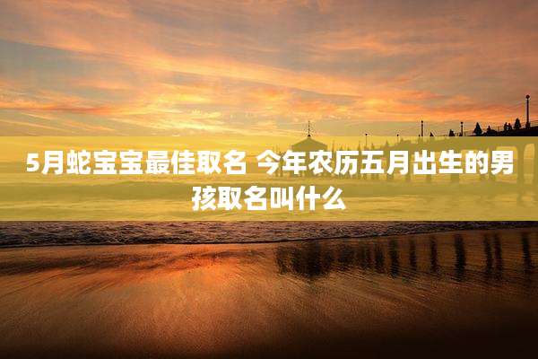 5月蛇宝宝最佳取名 今年农历五月出生的男孩取名叫什么