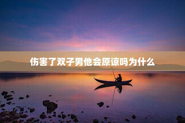 伤害了双子男他会原谅吗为什么