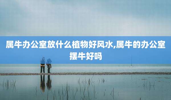 属牛办公室放什么植物好风水,属牛的办公室摆牛好吗