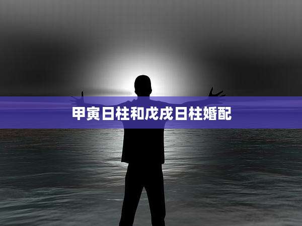 甲寅日柱和戊戌日柱婚配