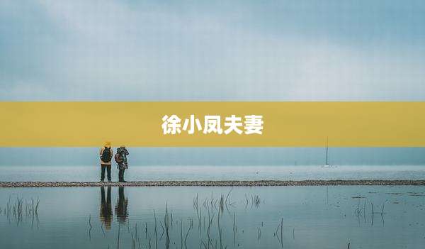 徐小凤夫妻
