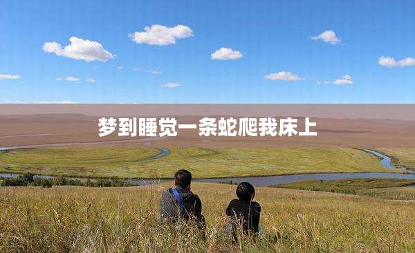 梦到睡觉一条蛇爬我床上