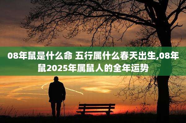 08年鼠是什么命 五行属什么春天出生,08年鼠2025年属鼠人的全年运势
