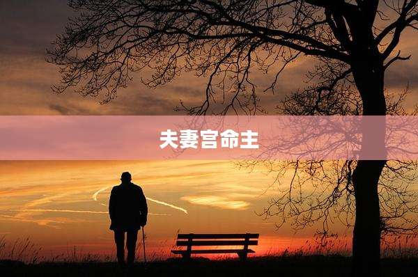夫妻宫命主