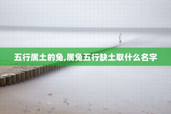 五行属土的兔,属兔五行缺土取什么名字