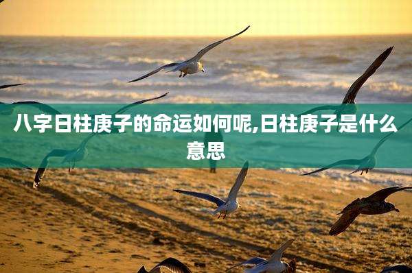 八字日柱庚子的命运如何呢,日柱庚子是什么意思