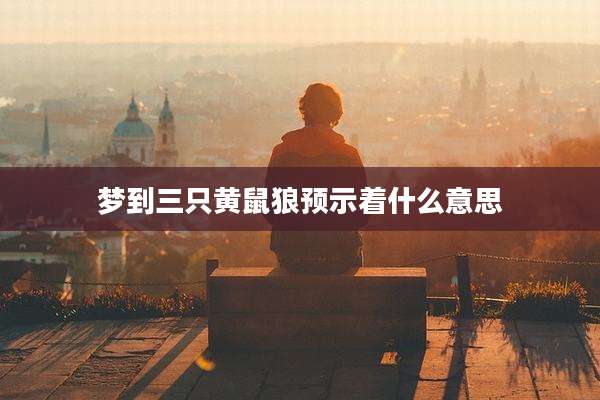 梦到三只黄鼠狼预示着什么意思