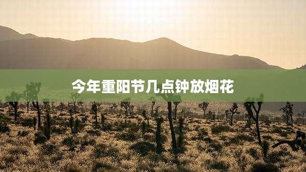 今年重阳节几点钟放烟花