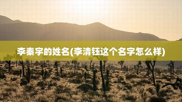 李秦宇的姓名(李清钰这个名字怎么样)