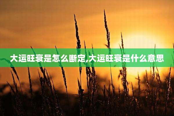 大运旺衰是怎么断定,大运旺衰是什么意思