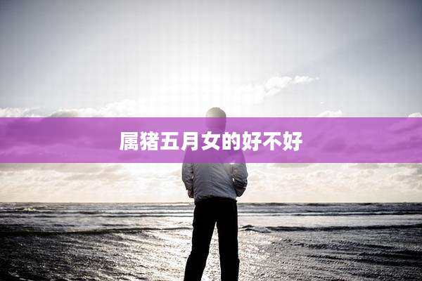 属猪五月女的好不好