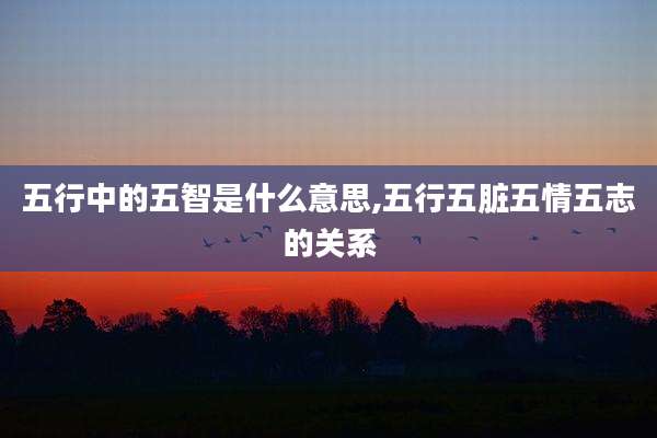 五行中的五智是什么意思,五行五脏五情五志的关系