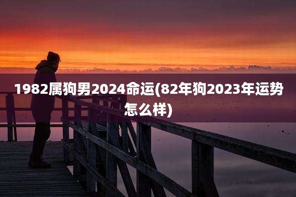1982属狗男2024命运(82年狗2023年运势怎么样)
