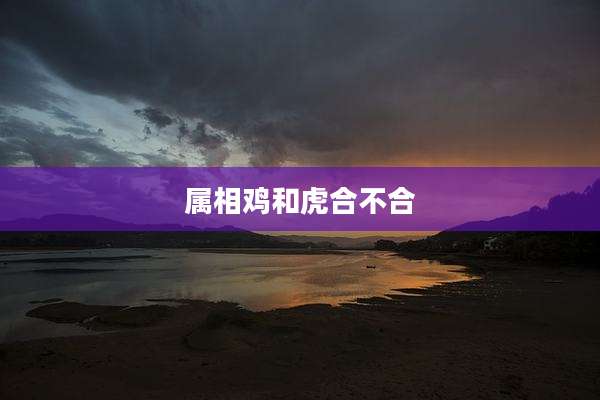 属相鸡和虎合不合
