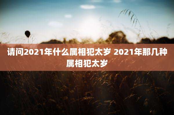 请问2021年什么属相犯太岁 2021年那几种属相犯太岁