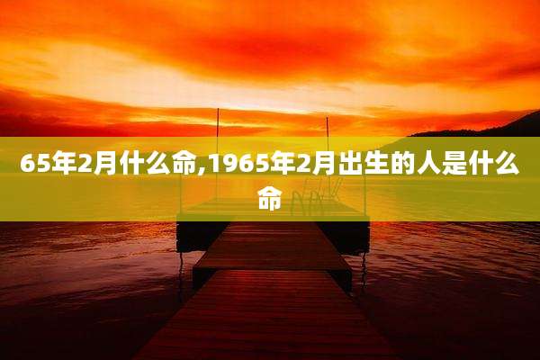 65年2月什么命,1965年2月出生的人是什么命