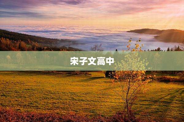 宋子文高中