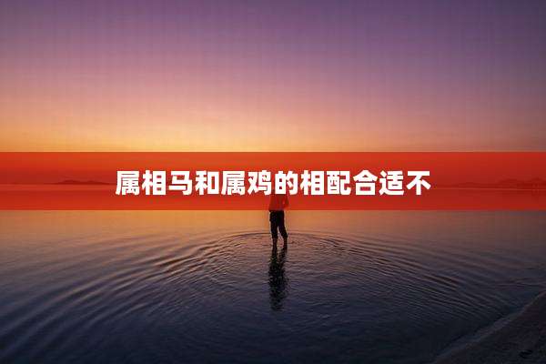 属相马和属鸡的相配合适不